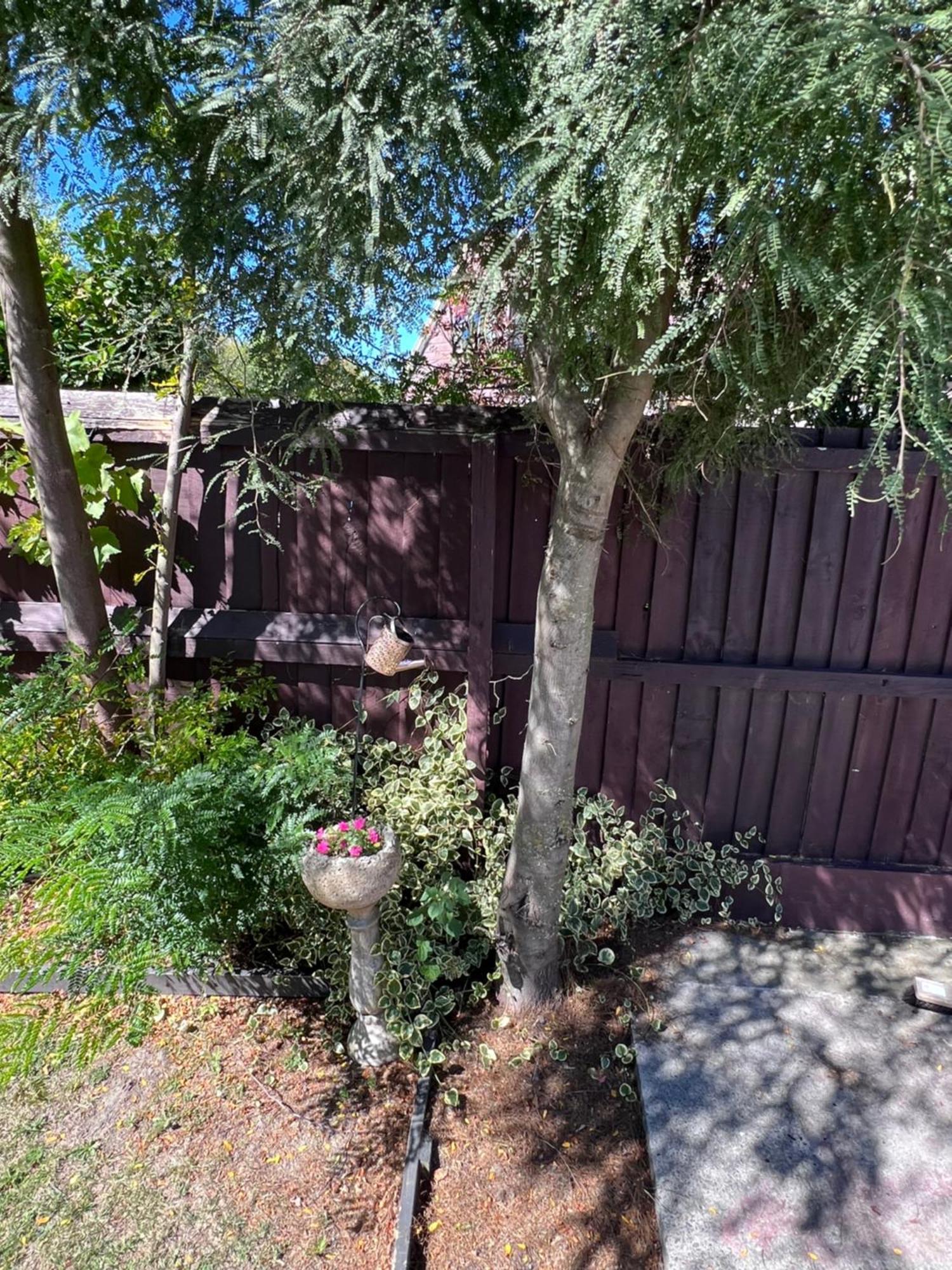 Gorgeous Villa, 7 Minutes From Airport Christchurch Eksteriør billede